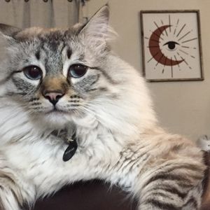 Meet your Posher, Johnny